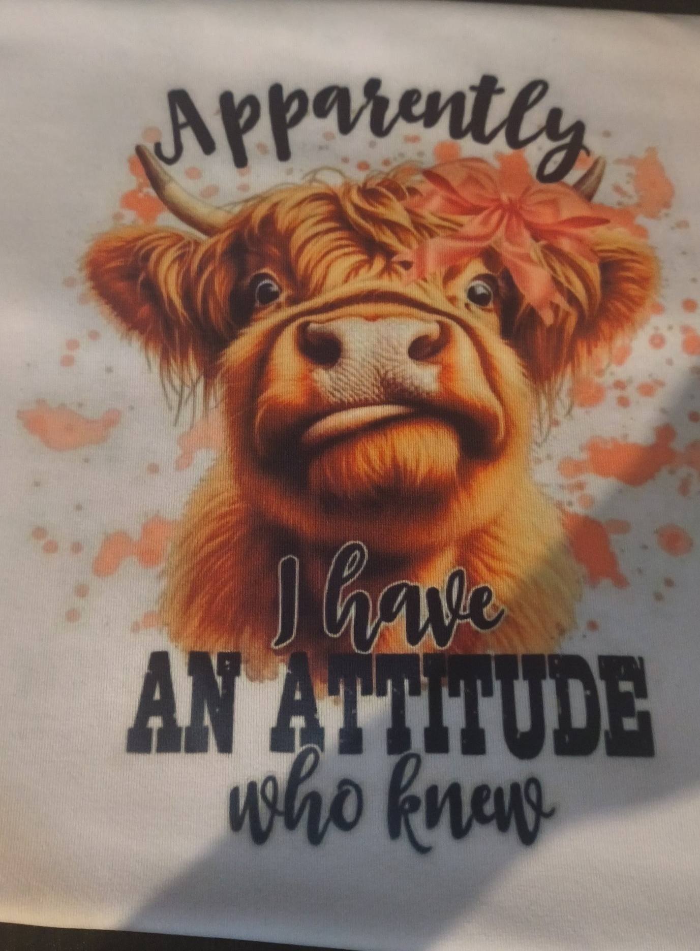 Custom t shirts